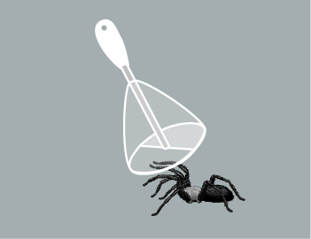 voici comment fonctionne le piège à araignées