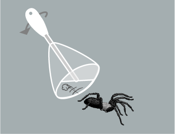 relâcher les araignées et les insectes à l'extérieur avec le piège à araignées